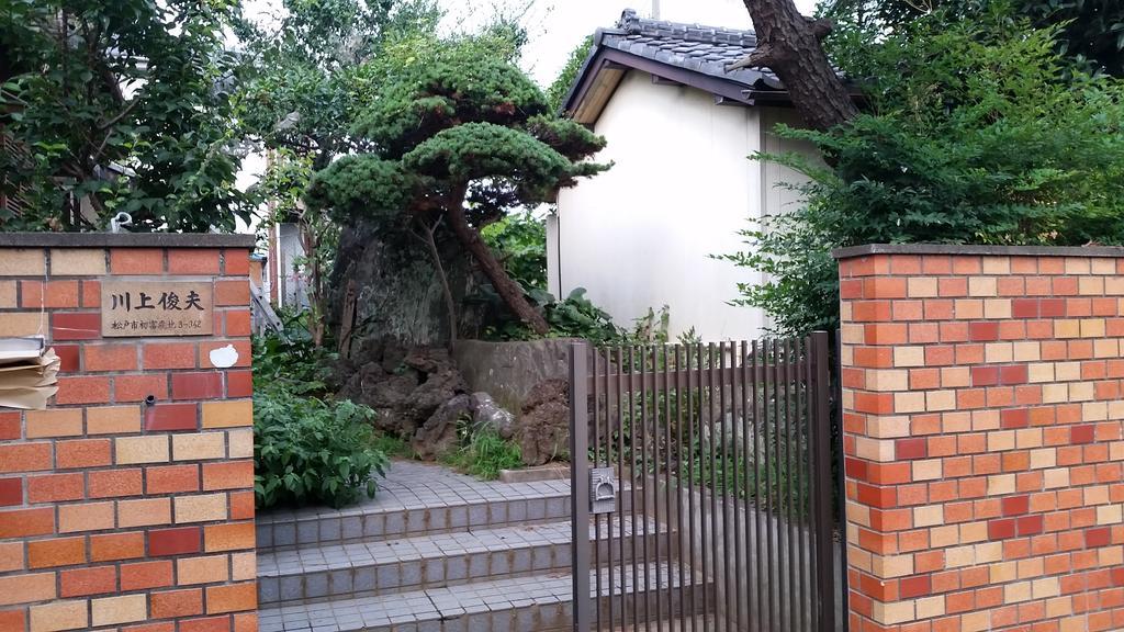 "Cherry House" Is Direct To Narita,Haneda Ap, Disney, Asakusa, Skytree Tower, Tokyo Matsudo Εξωτερικό φωτογραφία