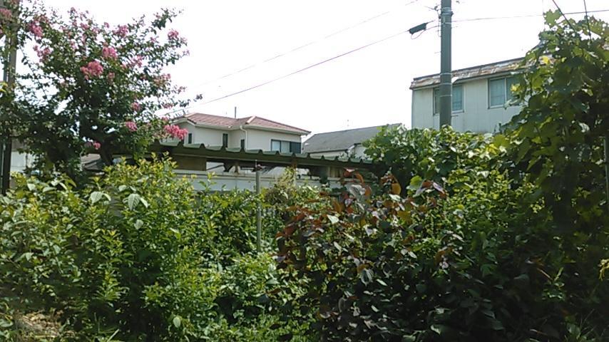 "Cherry House" Is Direct To Narita,Haneda Ap, Disney, Asakusa, Skytree Tower, Tokyo Matsudo Εξωτερικό φωτογραφία